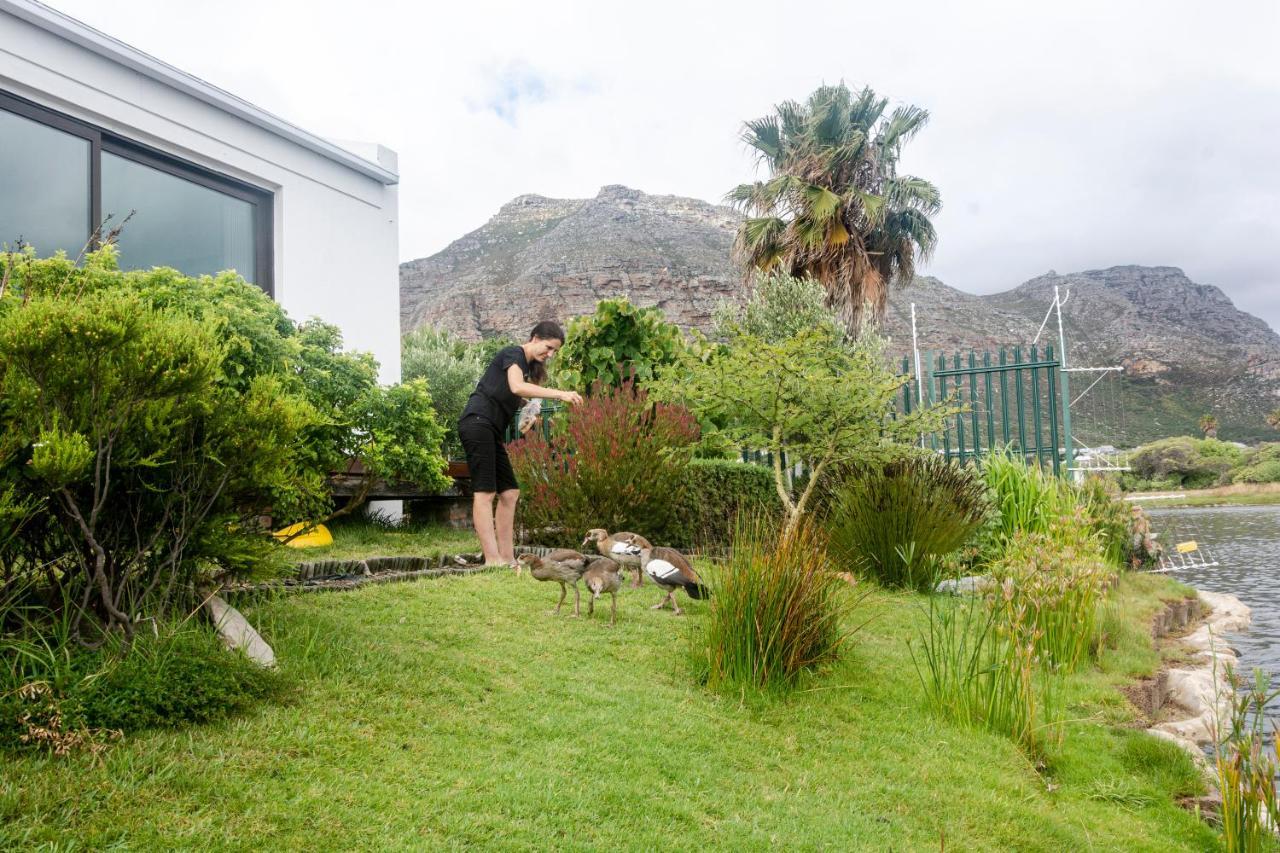 Vlei Cove Guesthouse Le Cap Extérieur photo